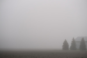 DSCF2949 01