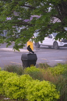 DSCF2927