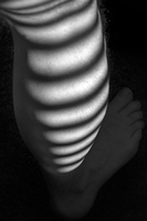 DSCF3080