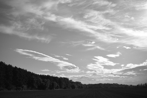 DSCF0065 01