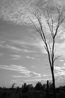 DSCF0057 01