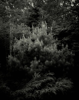 DSCF3150 01