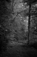 DSCF3182 01