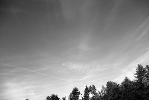 DSCF3309 01