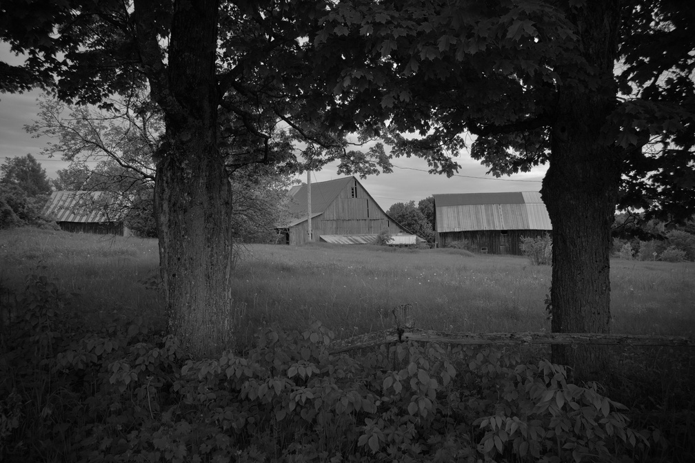 DSCF3459.jpg