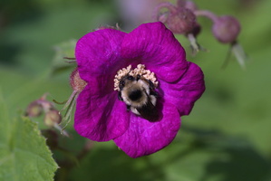 DSCF3477 01