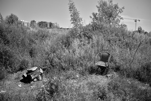 DSCF3564 01