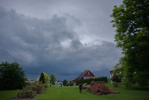 DSCF3941 01