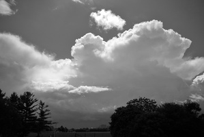 DSCF3859 01