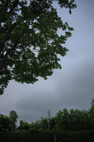DSCF3976