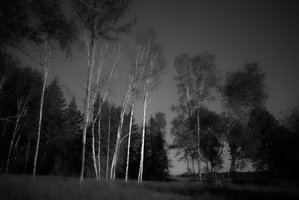 DSCF4180