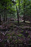 DSCF4435 01