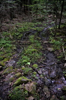 DSCF4444