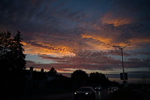 DSCF4587 01