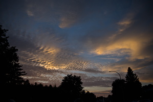 DSCF4563 01