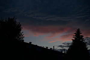 DSCF4613