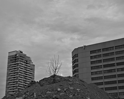 DSCF4688