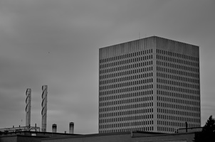 DSCF4656 01