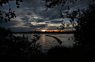 DSCF4954
