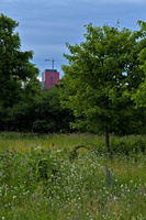 DSCF4816