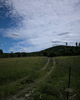 DSCF5598
