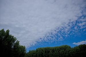 DSCF5601 02
