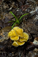 DSCF5657 01