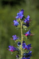 DSCF5880 01
