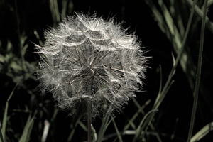 DSCF5737 01