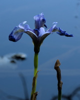 DSCF5781
