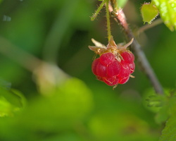 DSCF5857
