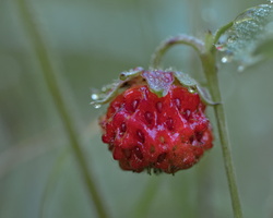 DSCF5832 01