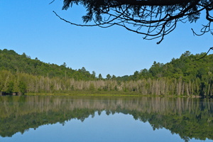 DSCF5785