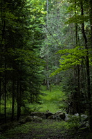 DSCF5812