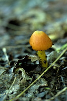 DSCF5823 01