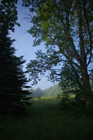 DSCF6011