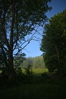 DSCF6016