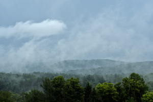 DSCF6313