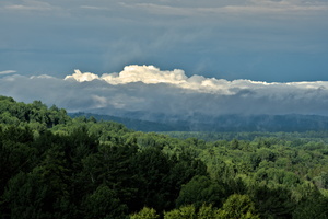 DSCF6337 01