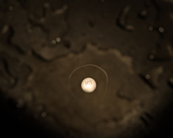 DSCF6398