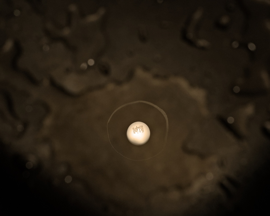 DSCF6398.jpg