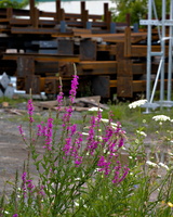 DSCF6804