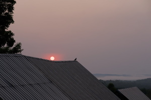 DSCF7083 01