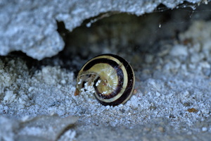 DSCF7168 01
