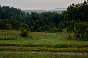 DSCF7195