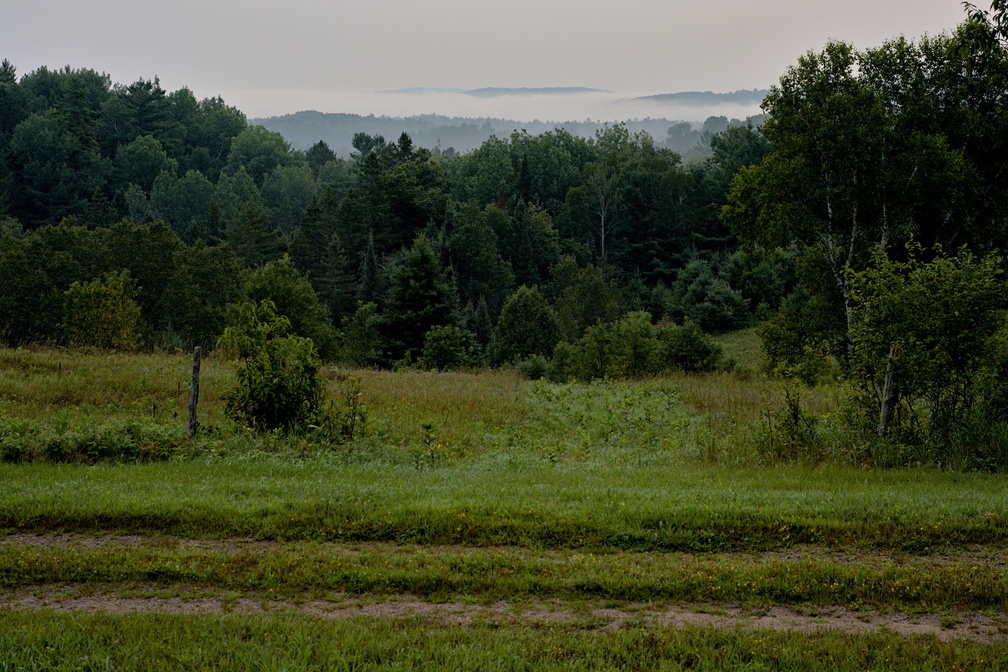 DSCF7195.jpg
