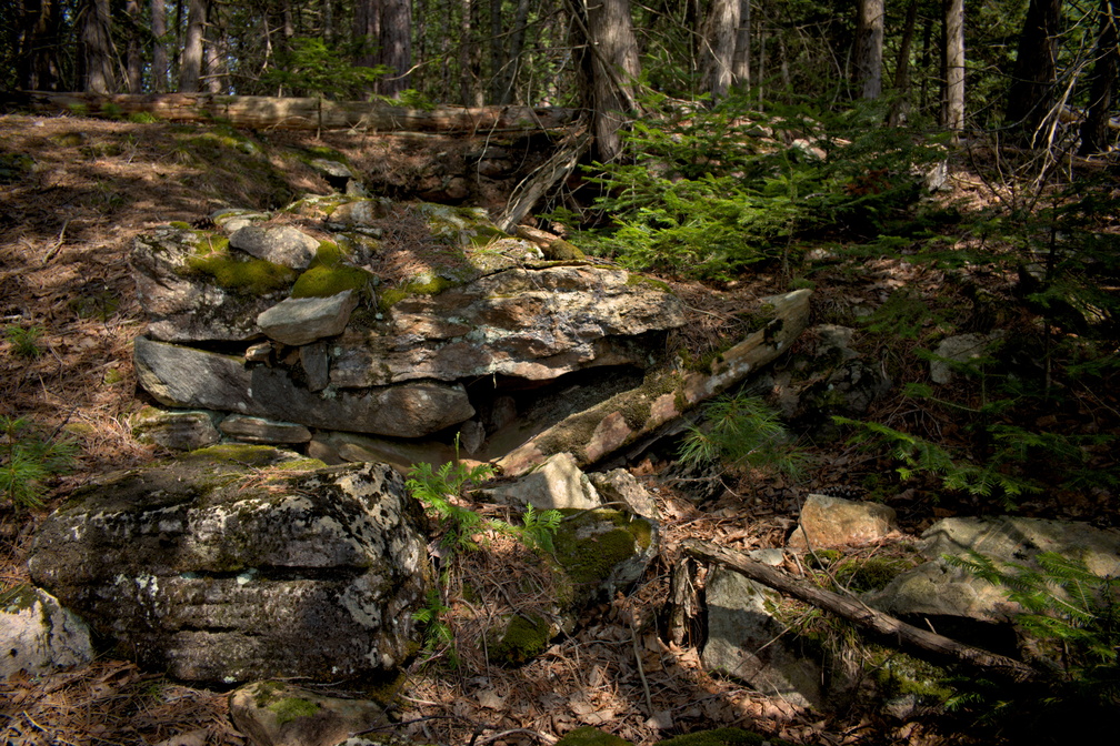 DSCF7315.jpg