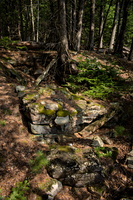 DSCF7306