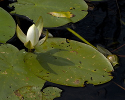 DSCF7283