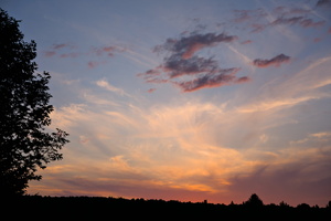 DSCF7385